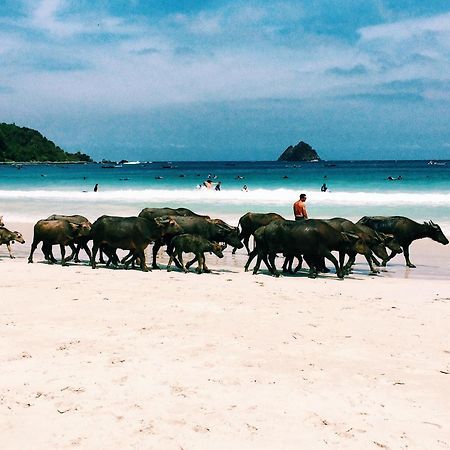 Отель Luana Lombok Селонг-Беланак Экстерьер фото